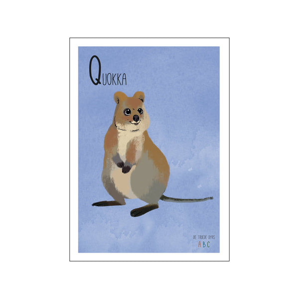 Quokka — Art print by Line Malling Schmidt from Poster & Frame