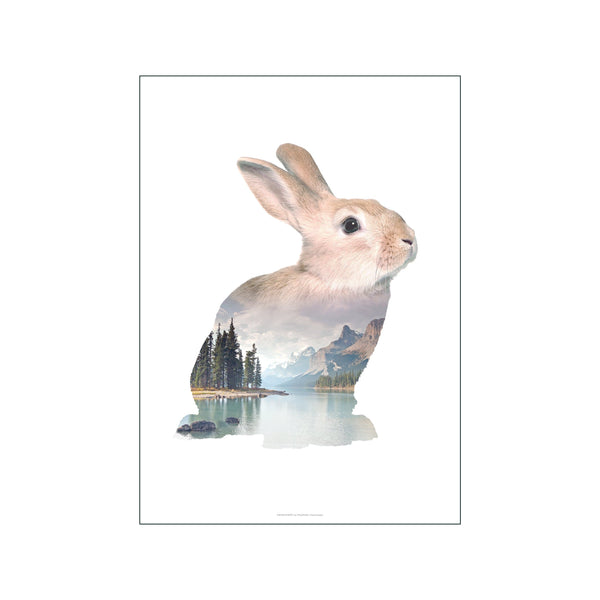 Rabbit — Art print by Faunascapes from Poster & Frame