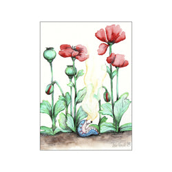Red poppy flowers — Art print by Ida Noack from Poster & Frame
