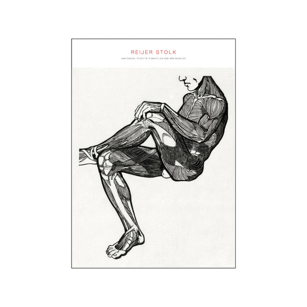Anatomical study of a man 04 — Art print by Reijer Stolk from Poster & Frame