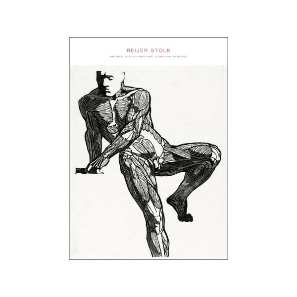 Anatomical study of a man 05 — Art print by Reijer Stolk from Poster & Frame