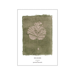 Rhubarb green — Art print by Pernille Folcarelli from Poster & Frame
