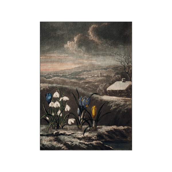 The Snowdrops — Art print by Robert John Thornton from Poster & Frame