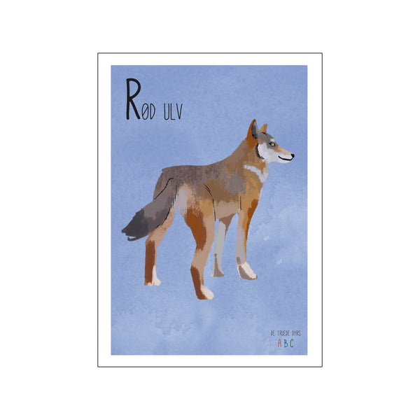 Rød ulv — Art print by Line Malling Schmidt from Poster & Frame