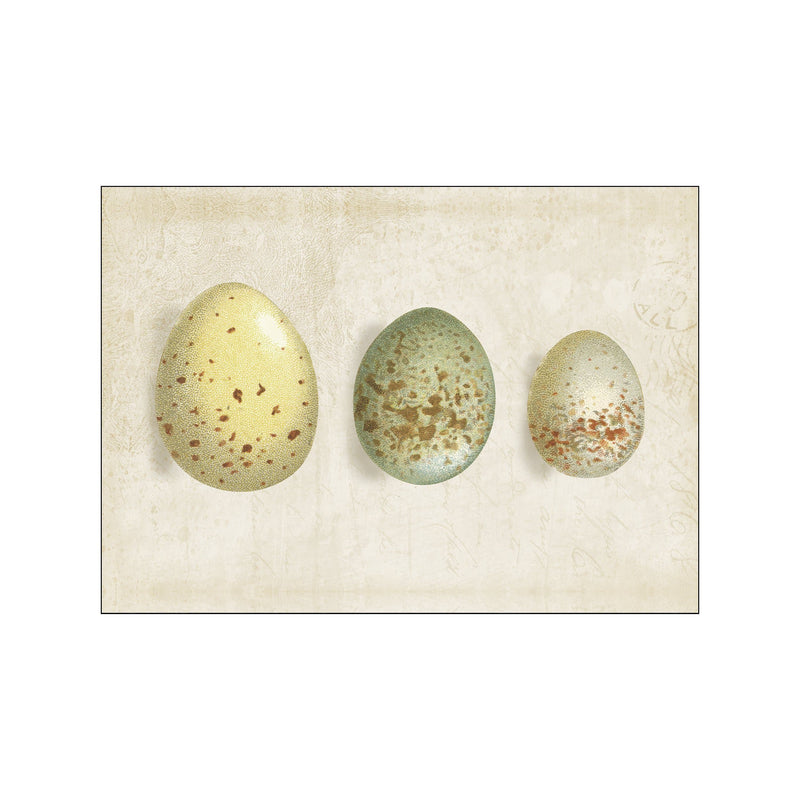 Row of Eggs I — Art print by Wild Apple from Poster & Frame