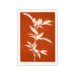 Printed Plant - Sambucus Nigra — Art print by PSTR Studio from Poster & Frame