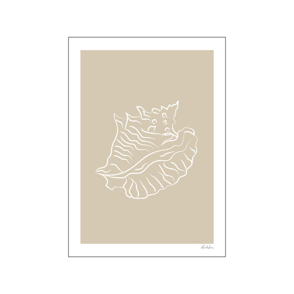 Seashell 02 — Art print by Emilie Luna from Poster & Frame