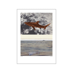 Shark Bay — Art print by Alexander Adiels from Poster & Frame