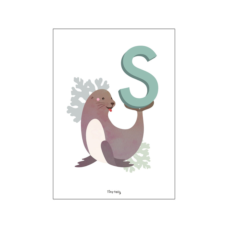 S for Søløve — Art print by Tiny Tails from Poster & Frame