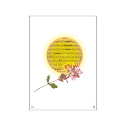 Sommer og sol - Birthe Kjær — Art print by Songshape from Poster & Frame