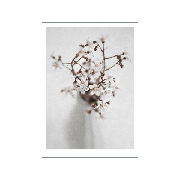 Spring Flower 1 — Art print by Ingrey Studio from Poster & Frame