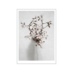 Spring Flower 1 — Art print by Ingrey Studio from Poster & Frame