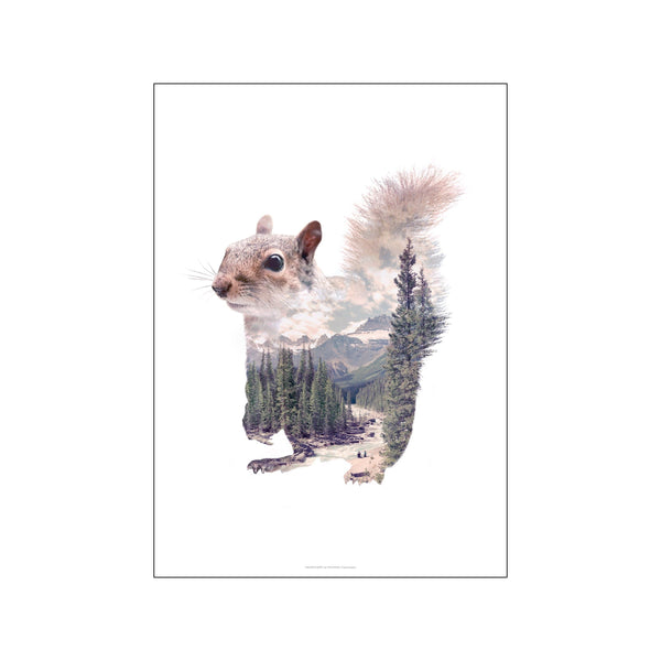 Squirrel — Art print by Faunascapes from Poster & Frame