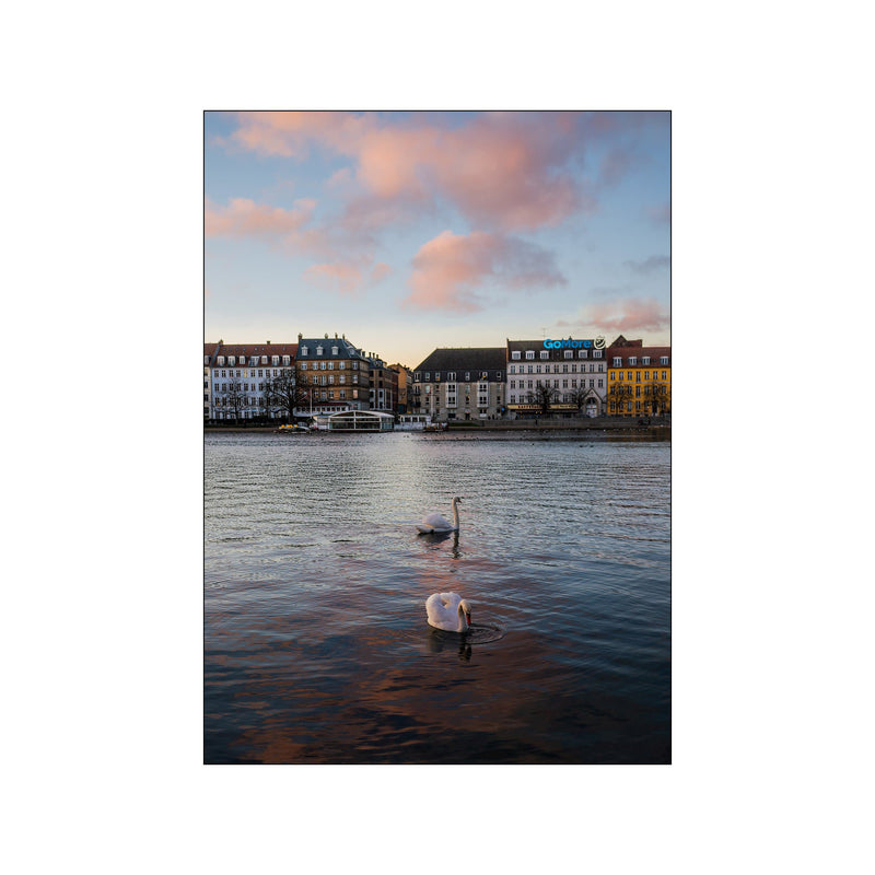 Swan — Art print by Malthe Zimakoff from Poster & Frame