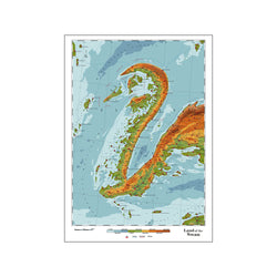 Swan — Art print by DAU-DAW from Poster & Frame