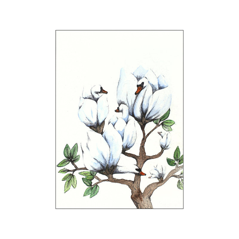 Swan magnolia — Art print by Ida Noack from Poster & Frame