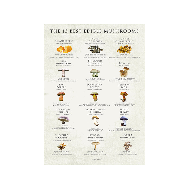 The 15 best edible mushrooms — Art print by Simon Holst from Poster & Frame