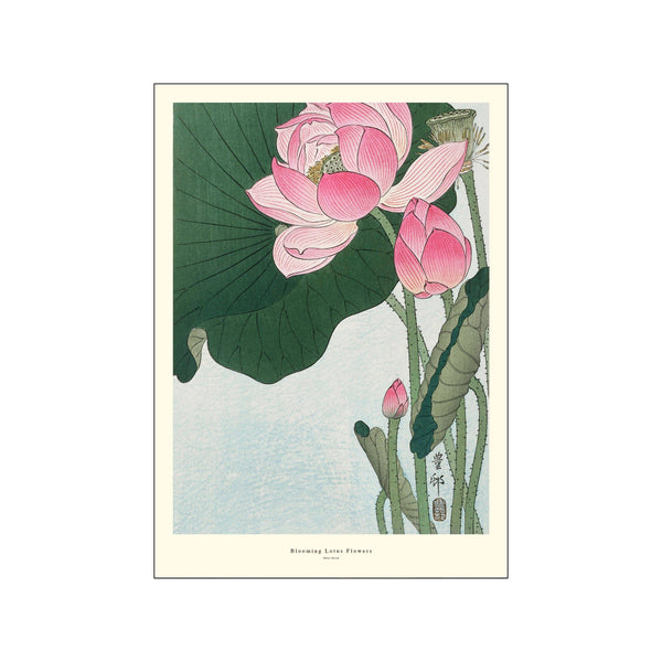 Blooming Lotus Flowers — Art print by A.P. Atelier from Poster & Frame