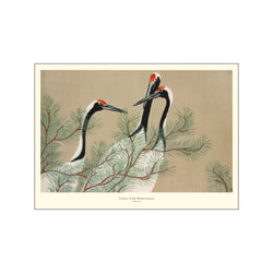 Cranes from Momoyogusa — Art print by A.P. Atelier from Poster & Frame
