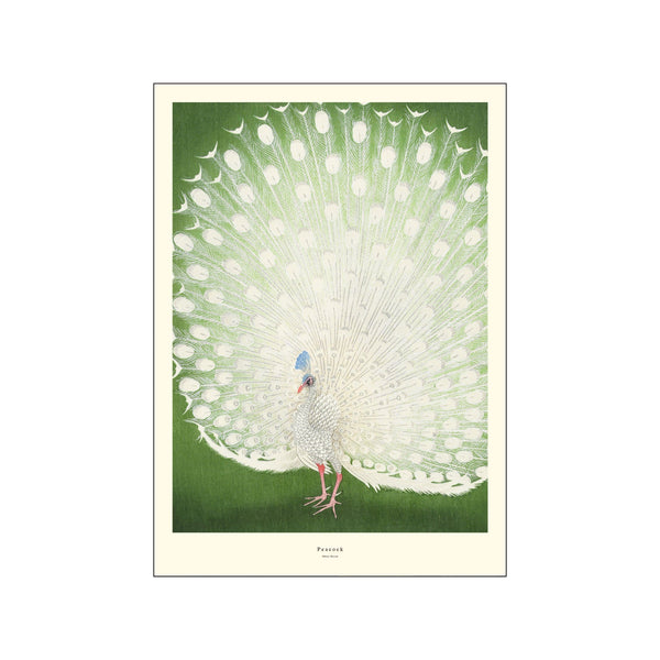 Peacock — Art print by A.P. Atelier from Poster & Frame