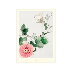 Tree Peony — Art print by A.P. Atelier from Poster & Frame