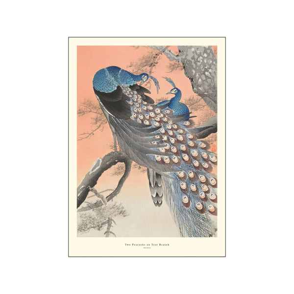 Two Peacocks on Tree Branch — Art print by A.P. Atelier from Poster & Frame