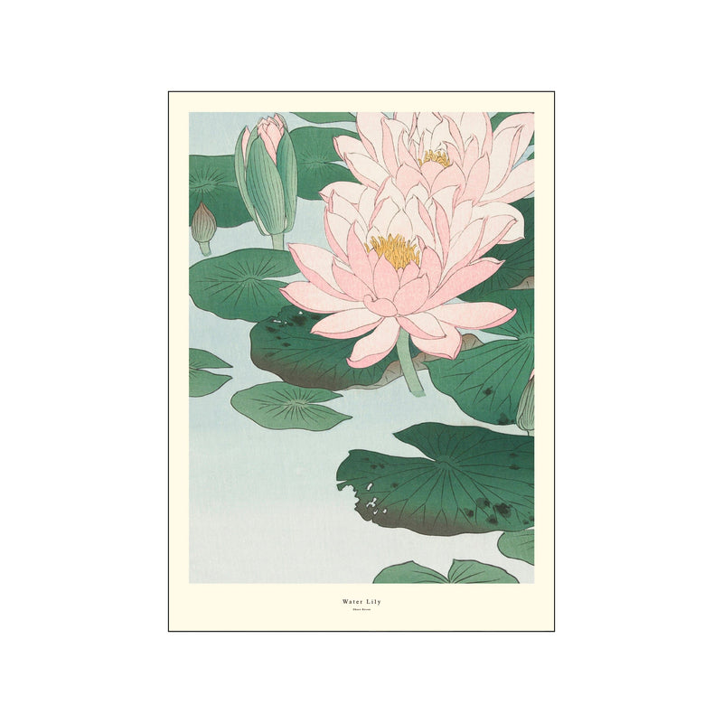 Water Lily — Art print by A.P. Atelier from Poster & Frame