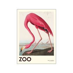 The Zoo Collection — Pink Flamingo — Edt. 001 — Art print by A.P. Atelier from Poster & Frame