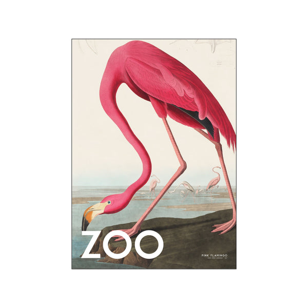 The Zoo Collection — Pink Flamingo — Edt. 002 — Art print by A.P. Atelier from Poster & Frame