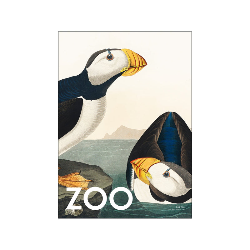 The Zoo Collection — Puffin — Edt. 002 — Art print by A.P. Atelier from Poster & Frame