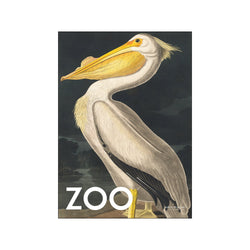 The Zoo Collection — White Pelican — Edt. 002 — Art print by A.P. Atelier from Poster & Frame