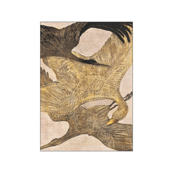 Drie vliegende vogels — Art print by Theo van Hoytema from Poster & Frame