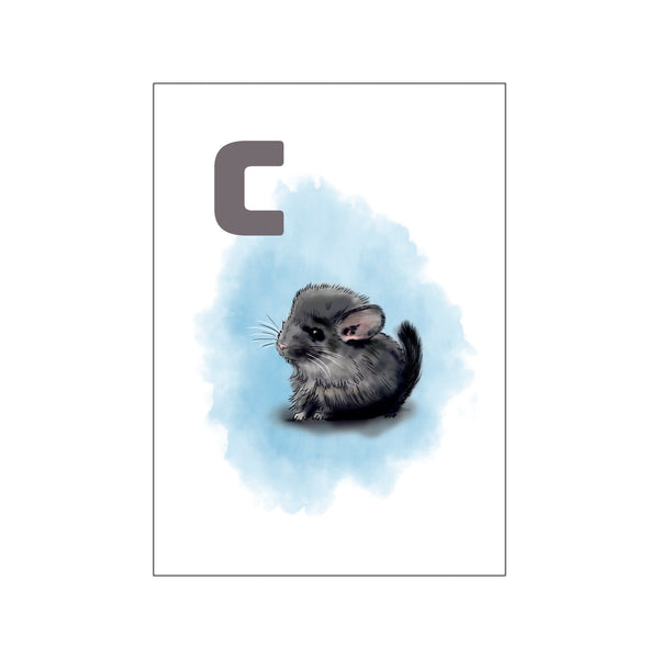 C Blue Chinchilla — Art print by Tinasting from Poster & Frame
