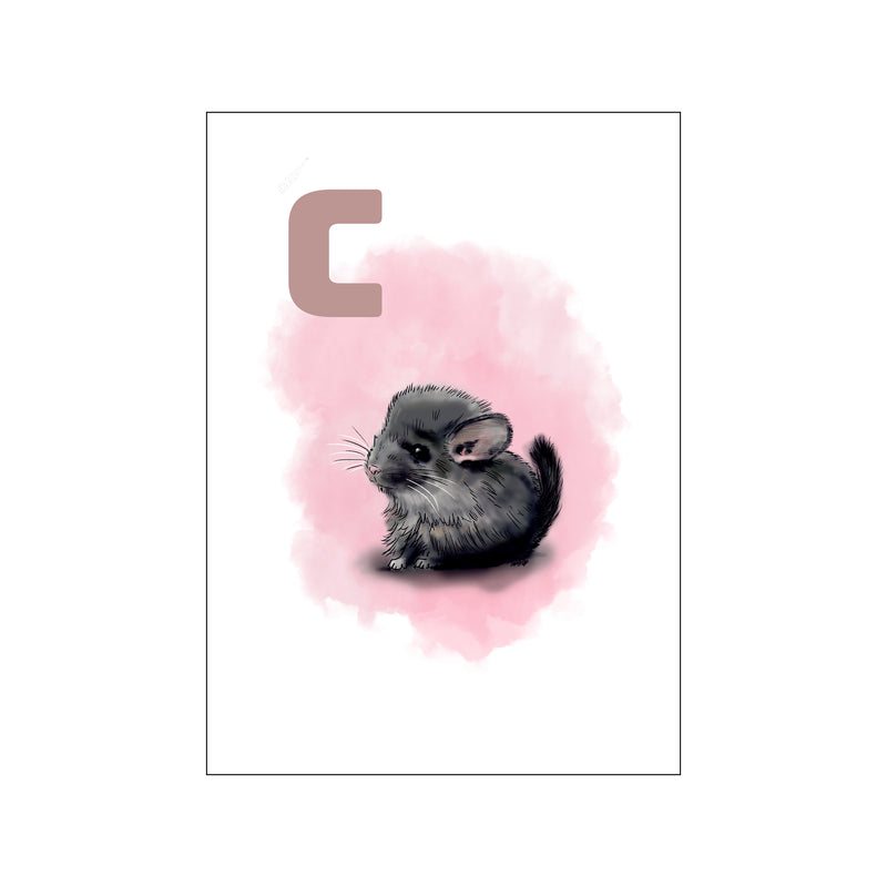 C Pink Chinchilla — Art print by Tinasting from Poster & Frame