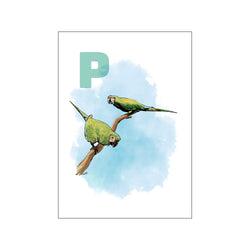 P Green Papegøje — Art print by Tinasting from Poster & Frame