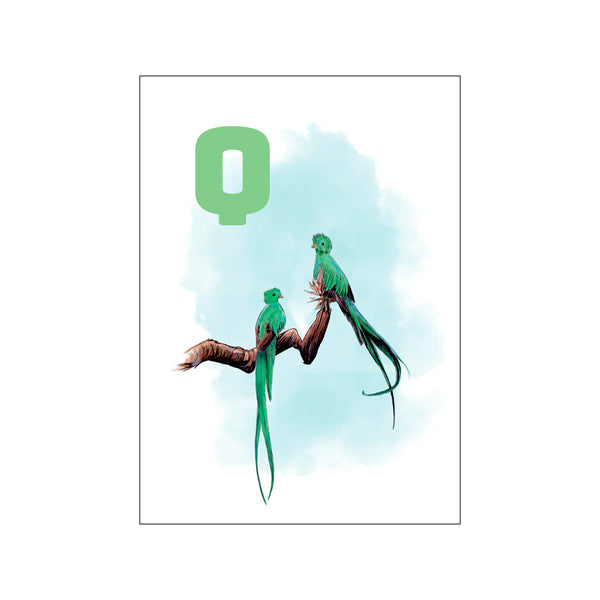 Q Blue Quetzal — Art print by Tinasting from Poster & Frame
