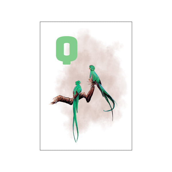 Q Grey Quetzal — Art print by Tinasting from Poster & Frame