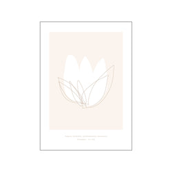 Tulip — Art print by Lé Ark from Poster & Frame