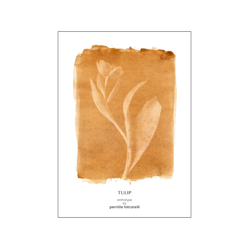 Tulip ochre — Art print by Pernille Folcarelli from Poster & Frame