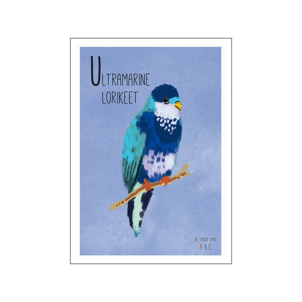 Ultramarine lorikeet — Art print by Line Malling Schmidt from Poster & Frame