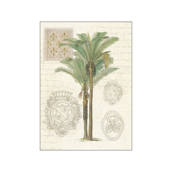 Vintage Palm Study II — Art print by Wild Apple from Poster & Frame
