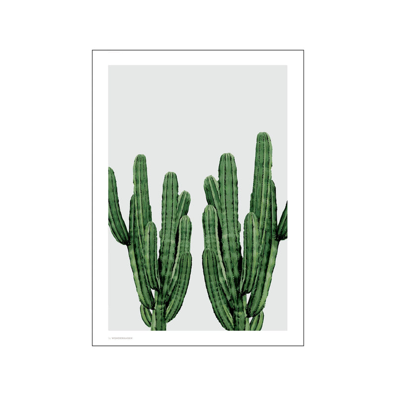 Cactus — Art print by Wonderhagen from Poster & Frame
