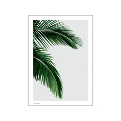 Palm — Art print by Wonderhagen from Poster & Frame