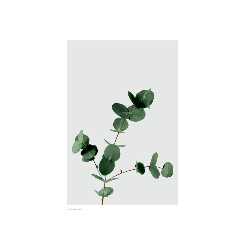 Eucalyptus — Art print by Wonderhagen from Poster & Frame