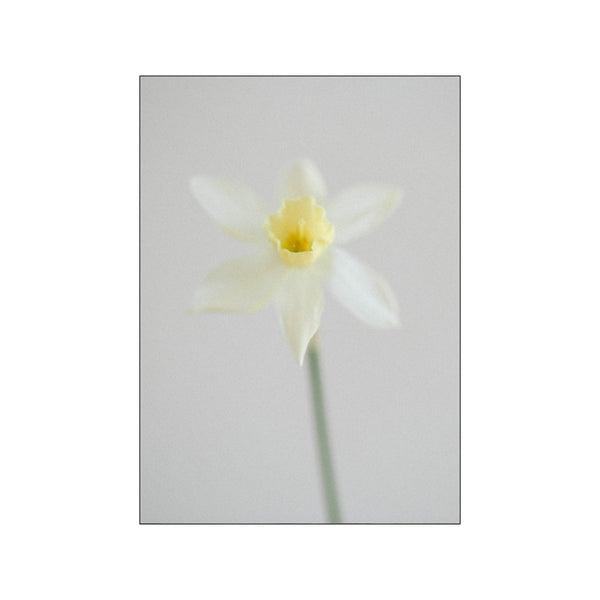 White Spring - Spring 1/3 — Art print by Norph from Poster & Frame