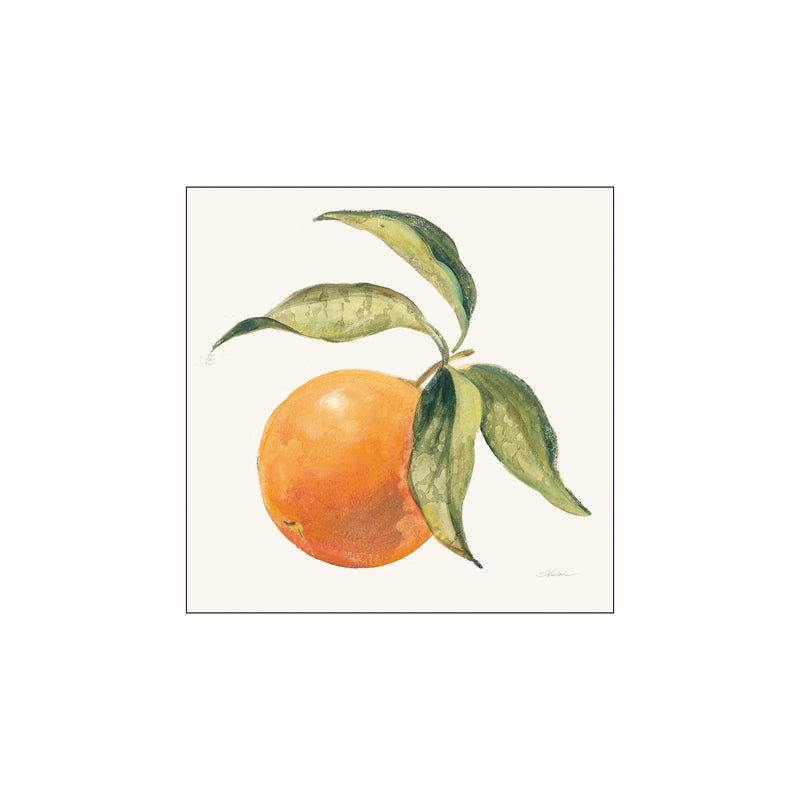 Le Orange on Cream — Art print by Wild Apple from Poster & Frame