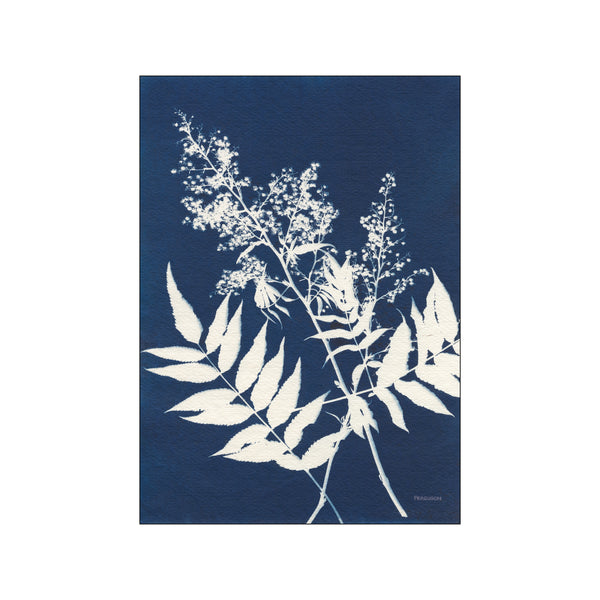 Alpine Flower III — Art print by Wild Apple from Poster & Frame