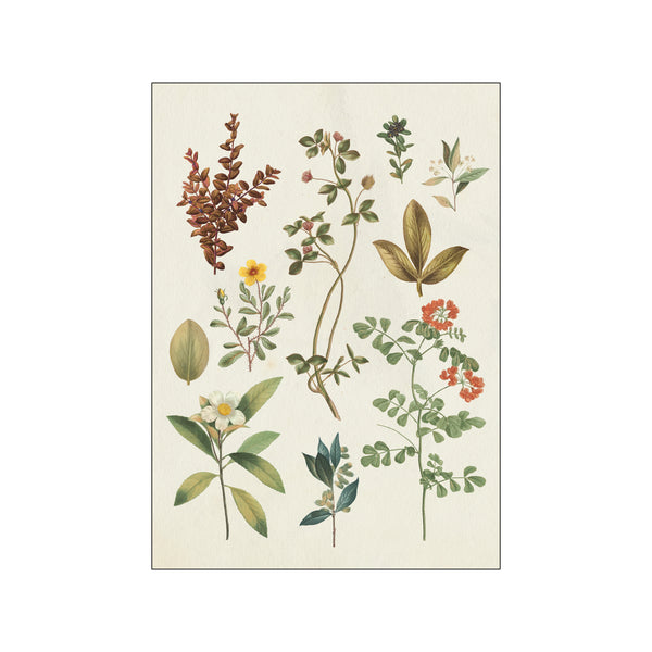 Victorian Garden III — Art print by Wild Apple from Poster & Frame