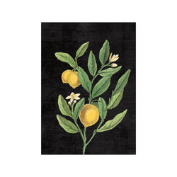Classic Citrus V Black No Words — Art print by Wild Apple from Poster & Frame