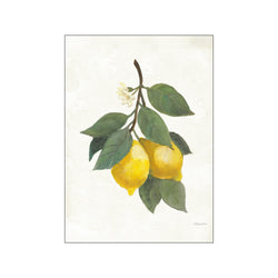 Lemon Branch II — Art print by Wild Apple from Poster & Frame